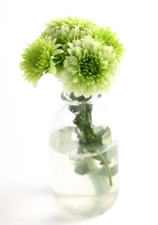 augalų, gėlių, žalia, vanduo, vamzdis, vazos Kerstin Aust - Dreamstime