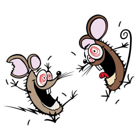Pelės, peles, Insane, laimingas, du Donald Purcell - Dreamstime