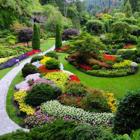 sodas, gėlės, spalvos, žalia Photo168 - Dreamstime