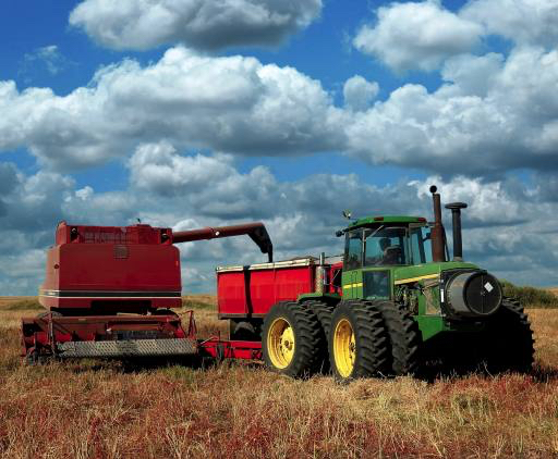 traktorius, dangus, debesys, laukas Lorraine Swanson (Pixart)