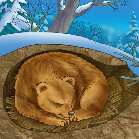 meškiukas, žiema, miegas, šaltis, gamta Alexander Kukushkin - Dreamstime