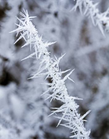šalčio, ledo, žiema, smaigalys Haraldmuc - Dreamstime