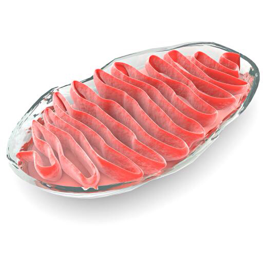 ląstelių, ląstelių, raudonųjų, mėsa, Gelly, bakterijos Vampy1