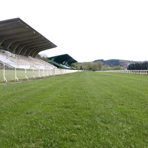 laukas, žalia, žolė, stadionas, Arena Nanisub