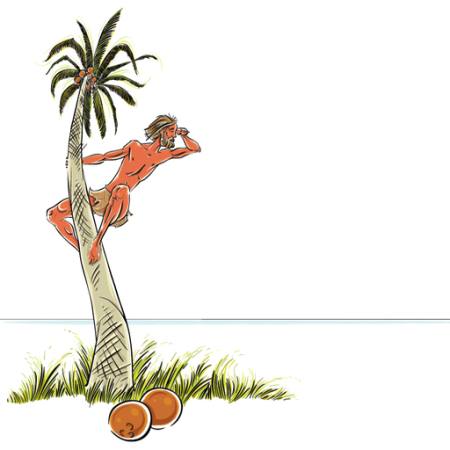 vyras, sala, dideles, kokoso, palmių, atrodo, jūra, vandenynas Sylverarts - Dreamstime