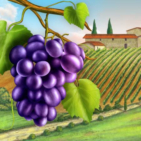 vynuogės, kiemas, žalia, lapai, vynuogių, žemės ūkio Andreus - Dreamstime