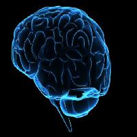 Pixwords Vaizdas su galvą, vyras, moteris, manau, smegenys Sebastian Kaulitzki - Dreamstime