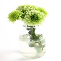 Pixwords Vaizdas su augalų, gėlių, žalia, vanduo, vamzdis, vazos Kerstin Aust - Dreamstime