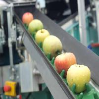 Pixwords Vaizdas su obuoliai, maisto, mašinų, gamykla Jevtic