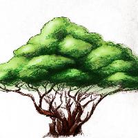 Pixwords Vaizdas su medis, piešinys, gamta Alexandr Mitiuc (Alexmit)