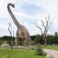 Pixwords Vaizdas su dinozauras, parkas, medis, medžius, gyvūnų Caesarone