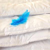 Pixwords Vaizdas su plunksnų, mėlyna, pagalvės Julija Sapic (Yulia)