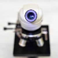 kamera, objektyvas, mikroskopas catiamadio