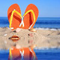 Pixwords Vaizdas su Sandalai, batų, batai, paplūdimys, kriauklių, kriauklių, vandens, smėlio Fantasista