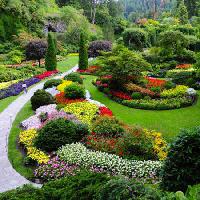 Pixwords Vaizdas su sodas, gėlės, spalvos, žalia Photo168 - Dreamstime