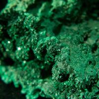 Pixwords Vaizdas su žalias, mineralinis, objektas, augalas Farbled