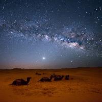 Pixwords Vaizdas su dangus, naktis, , dykuma, kupranugariai, žvaigždės, mėnulis Valentin Armianu (Asterixvs)