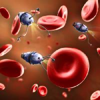 Pixwords Vaizdas su kraujas, botas, ląstelių, raudona, venos Andreus - Dreamstime