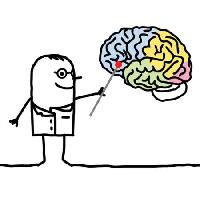 Pixwords Vaizdas su smegenų, gydytojas, žymeklis N.l - Dreamstime