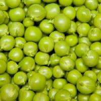 Pixwords Vaizdas su vaisiai, žirniai, žalia, valgo, maistas Brad Calkins - Dreamstime
