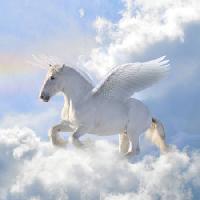 Pixwords Vaizdas su arklys, debesys, musė, sparnai Viktoria Makarova - Dreamstime