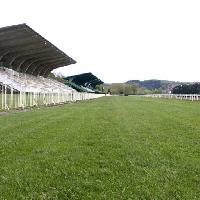 laukas, žalia, žolė, stadionas, Arena Nanisub