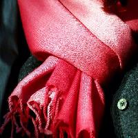 Pixwords Vaizdas su raudona, audiniai, drabužiai, skara, mygtuką Clarita
