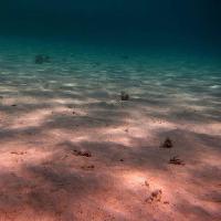 Pixwords Vaizdas su jūra, jūra grindys, vanduo, šviesa, spinduliai, smėlis Thomas Eder (Thomaseder)