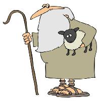 Pixwords Vaizdas su avys, barzda, vyras, batai, cukranendrių Caraman - Dreamstime