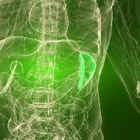Pixwords Vaizdas su organas, žmogaus, žmogus Sebastian Kaulitzki - Dreamstime