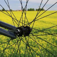 Pixwords Vaizdas su ratas, žemė, žolė, laukas, dviratis, geltonos spalvos Leonidtit