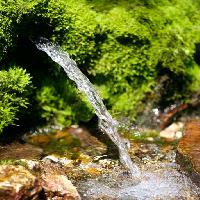 Pixwords Vaizdas su žalias vanduo, gamta Akinshin