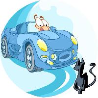 automobilis, automobiliu, katė, gyvūnas Verzhh
