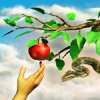 obuolių, gyvatė, filialas, žalia, lapai, ranka Andreus - Dreamstime