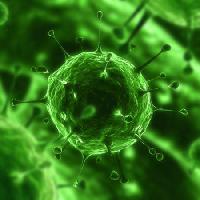 Pixwords Vaizdas su bakterijos, virusas, vabzdys, ligos, mobiliojo Sebastian Kaulitzki - Dreamstime